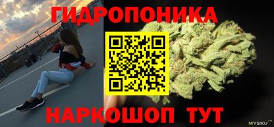 бутират Кингисепп