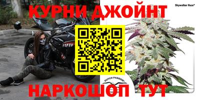 ПСИЛОЦИБИНОВЫЕ ГРИБЫ Кимры